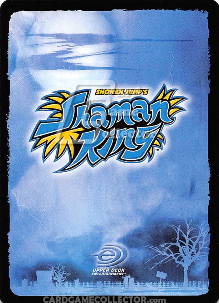 TCG - Shaman King