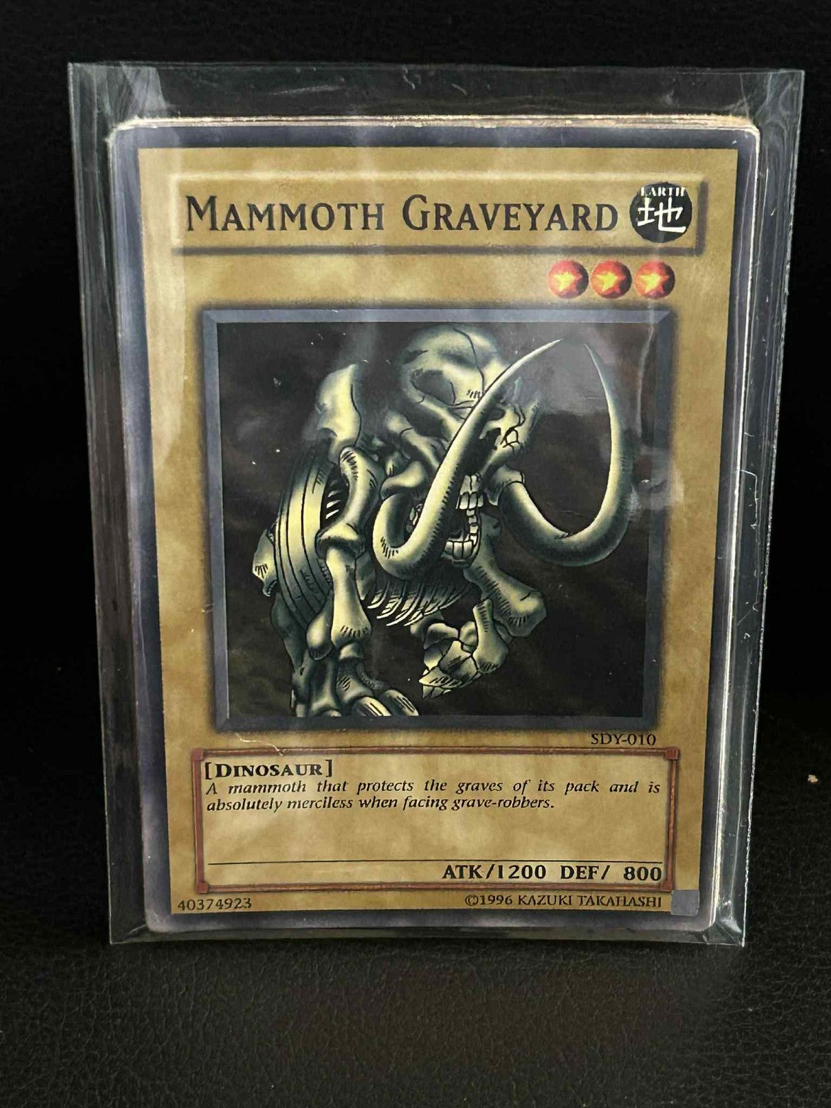Mammoth Graveyard - SDY-010 - Common - Unlimited Edition Starter Deck: Yugi Yu-G