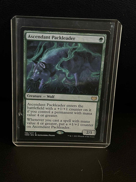 Ascendant Packleader Innistrad: Crimson Vow Magic: the Gathering Lightly Played,
