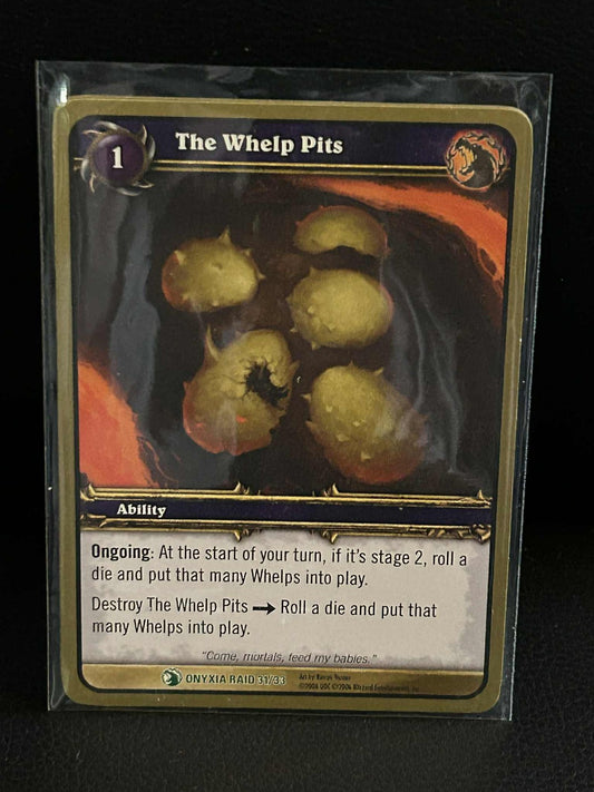 The Whelp Pits Onyxia's Lair World of Warcraft Lightly Played