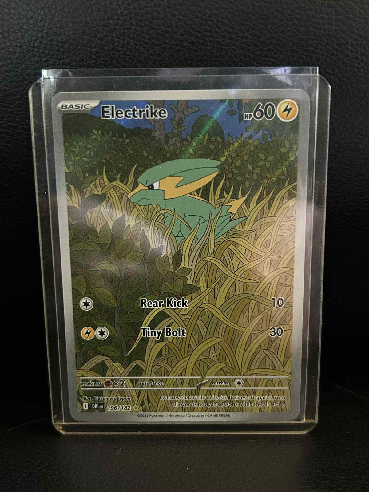Electrike - 196/182 - Illustration Rare Destined Rivals Pokemon