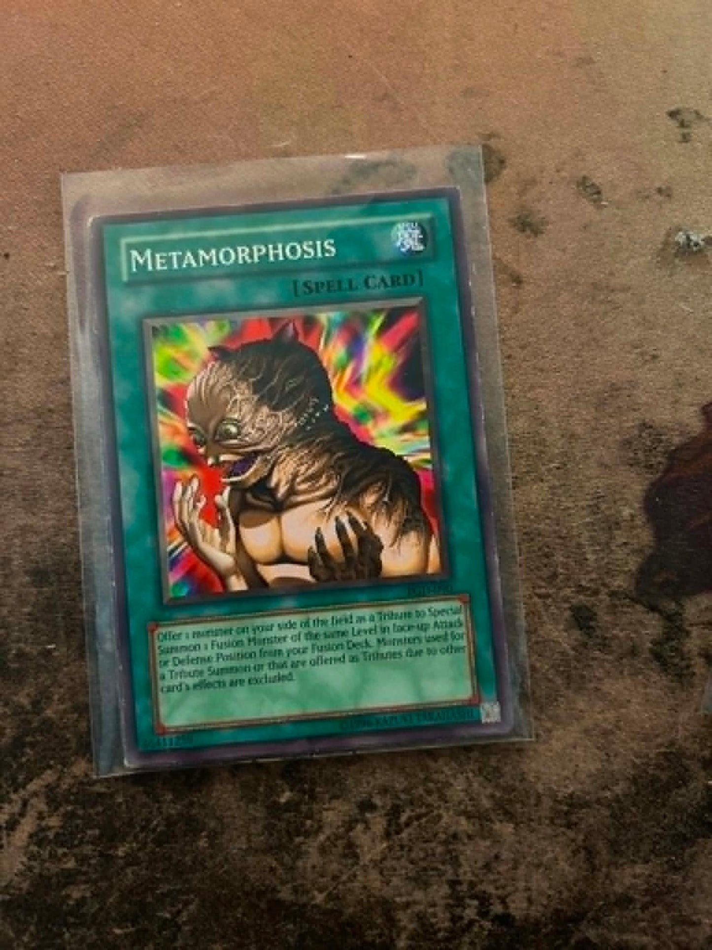 Metamorphosis