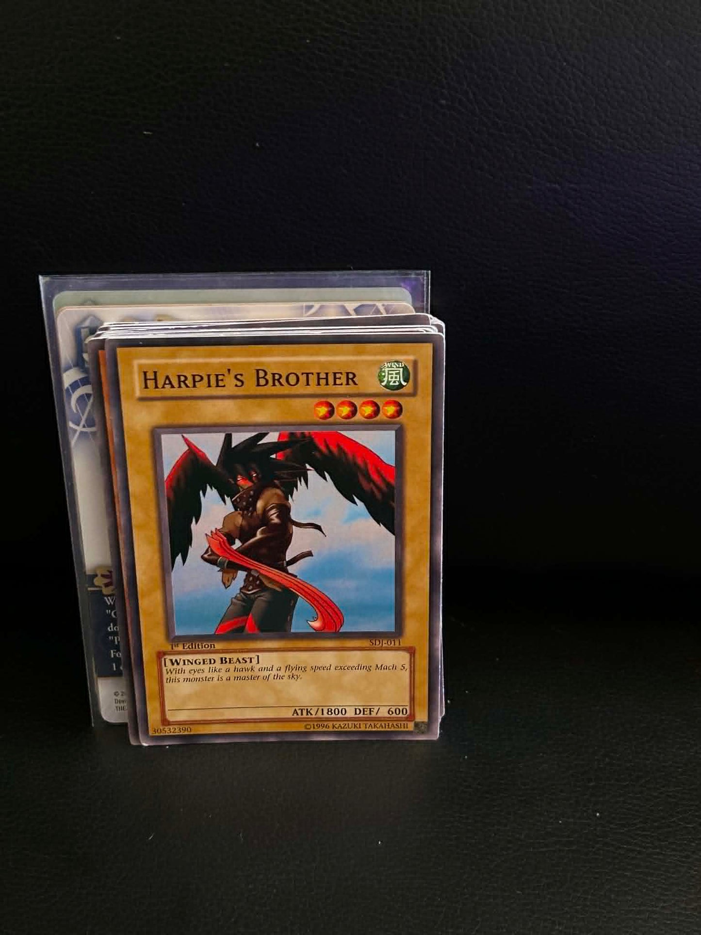 Harpie's Brother