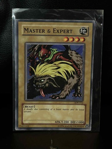 Master & Expert