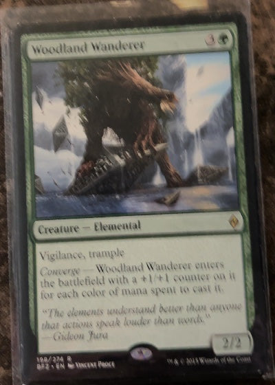 Woodland Wanderer