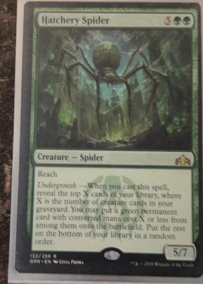 Hatchery Spider