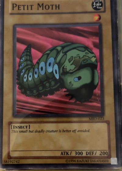 Petit Moth