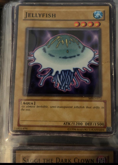 Jellyfish