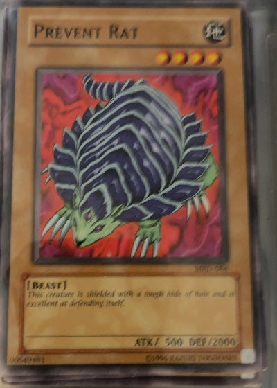Prevent Rat