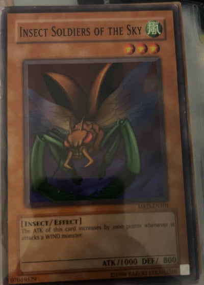Insect Soldiers of the Sky