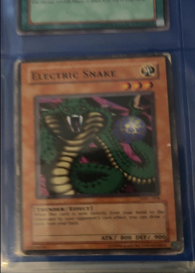 Electric Snake