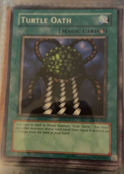 Turtle Oath
