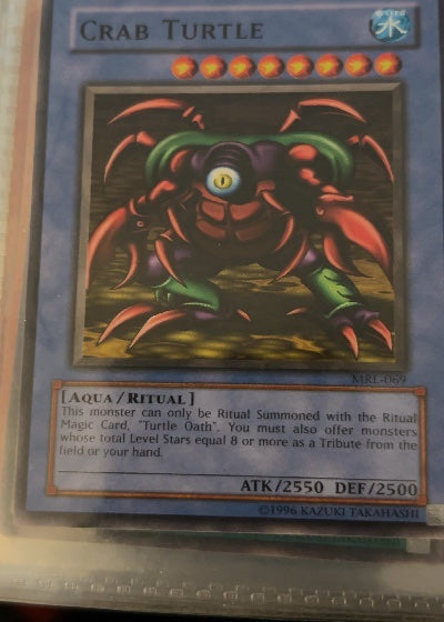 Crab Turtle