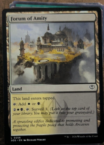 Forum of Amity