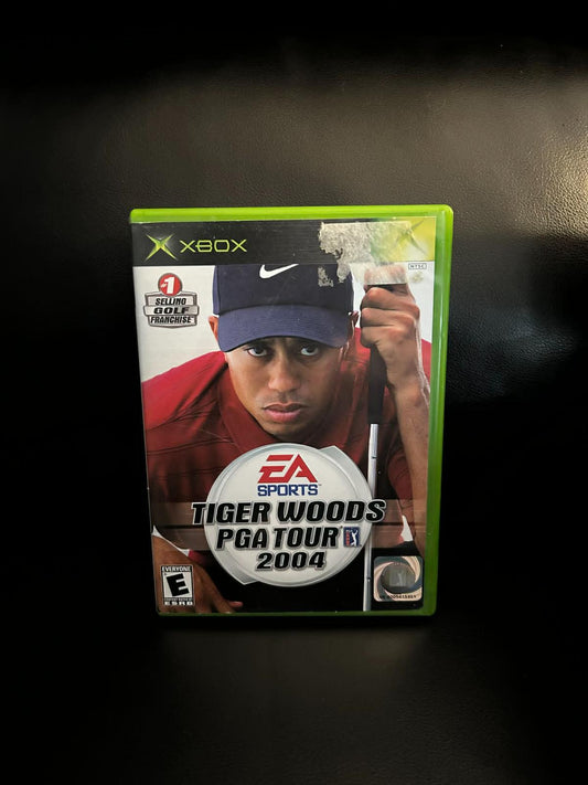 Tiger Woods 2004 photo