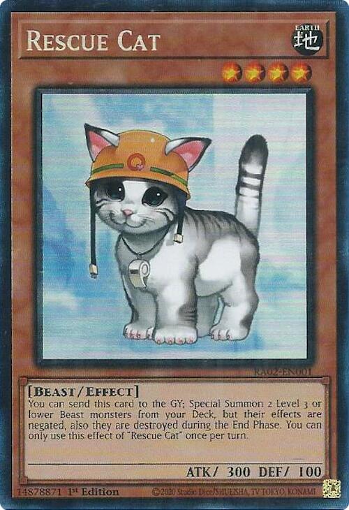 Rescue Cat (PCR)