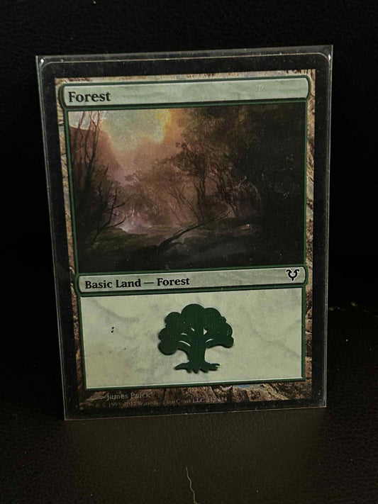 Forest (242) - Foil Avacyn Restored Magic: the Gathering Lightly Played, English