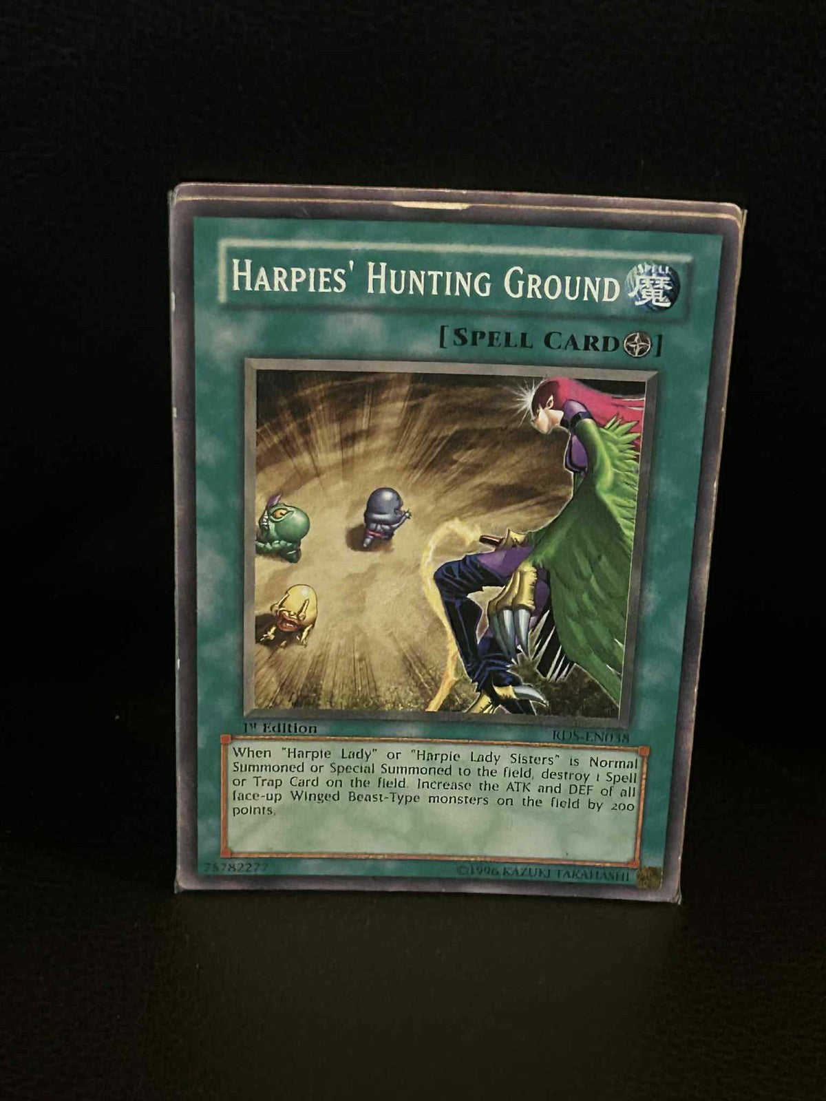 Harpies' Hunting Ground - RDS-EN038 - Common - 1st Edition Rise of Destiny Yu-Gi