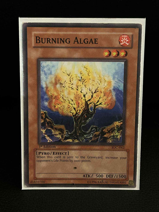Burning Algae - IOC-062 - Common - 1st Edition Invasion of Chaos Yu-Gi-Oh! Moder