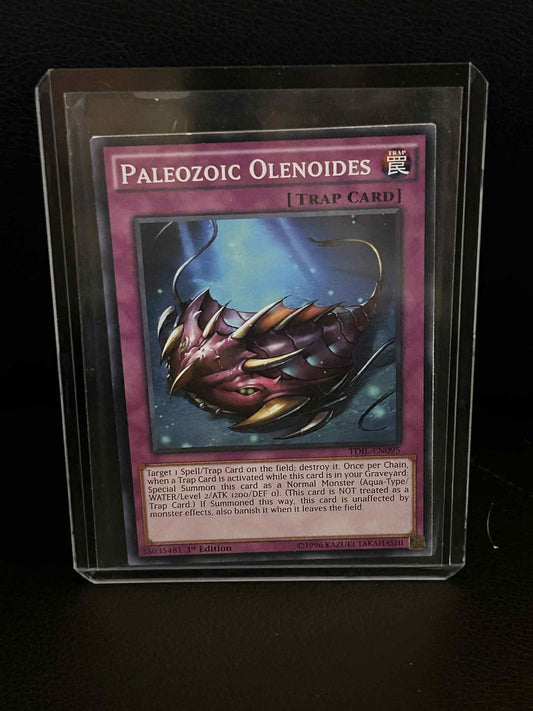 Paleozoic Olenoides - TDIL-EN095 - Common - 1st Edition The Dark Illusion Yu-Gi-