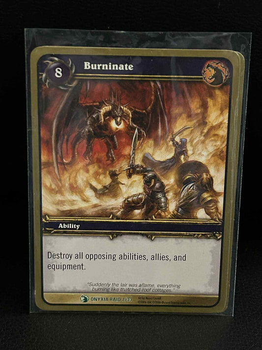 Burninate Onyxia's Lair World of Warcraft Lightly Played