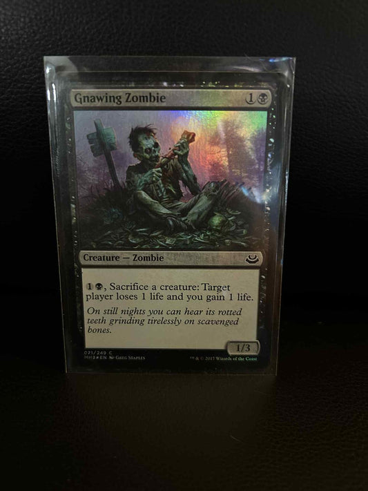 Gnawing Zombie - Foil Modern Masters 2017 Magic: the Gathering Lightly Played, E
