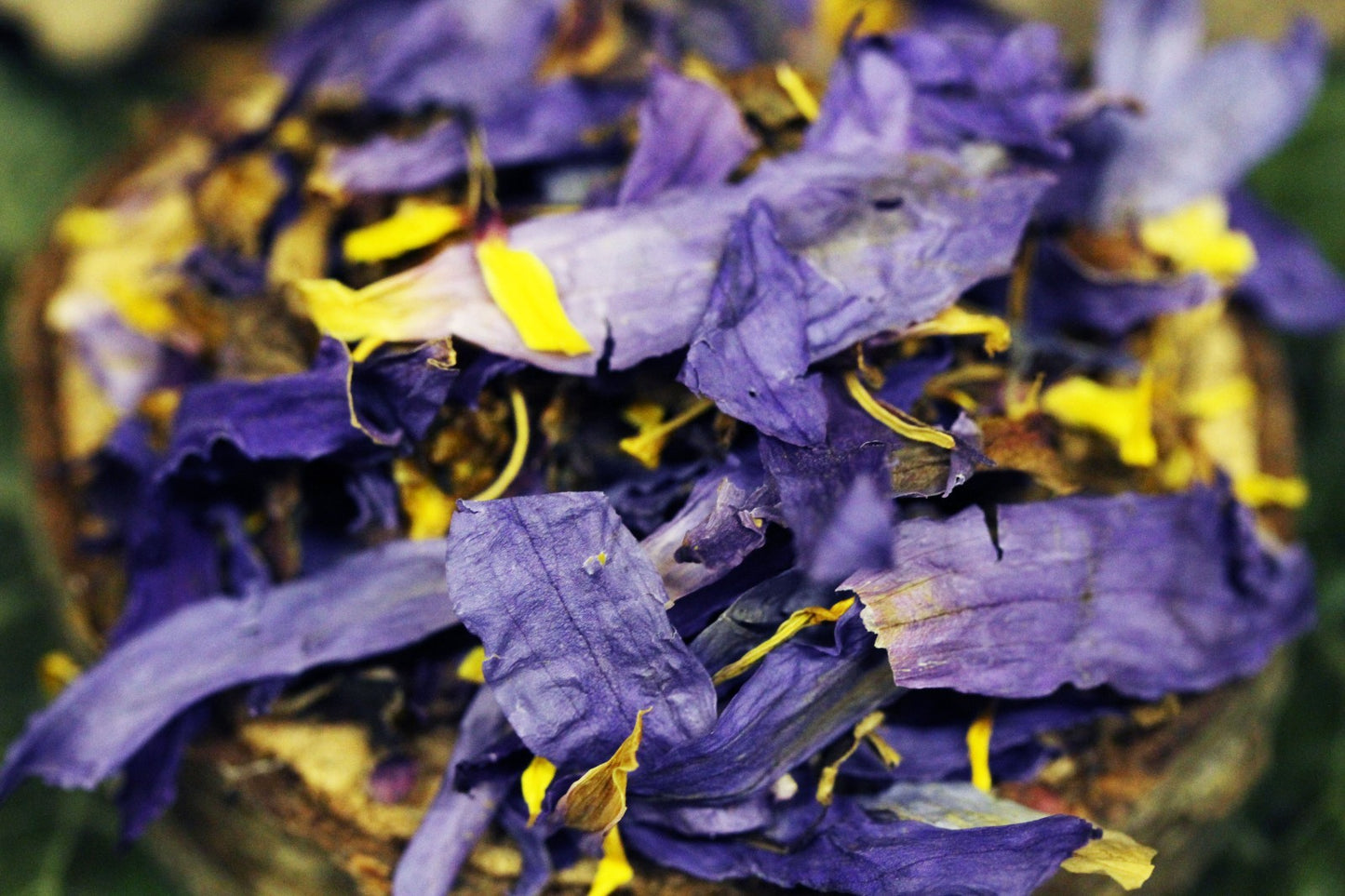 1 oz Blue Lotus (Nymphaea Caerulea) Shredded Flower Petals & Stamens Dried Herb