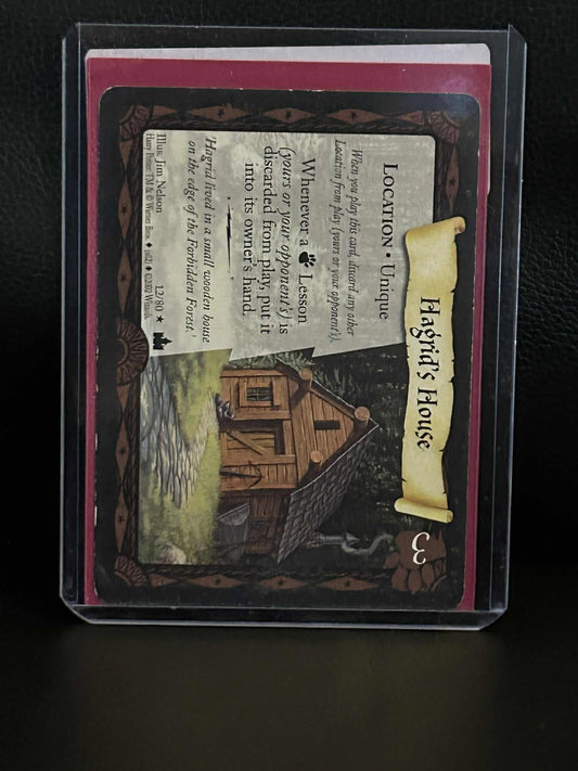 Hagrid's House 12/80 Adventures at Hogwarts Harry Potter Lightly Played