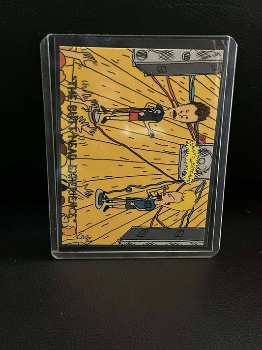 Experience [#6169] 1994 Fleer Ultra Beavis & Butt-Head Lightly Played