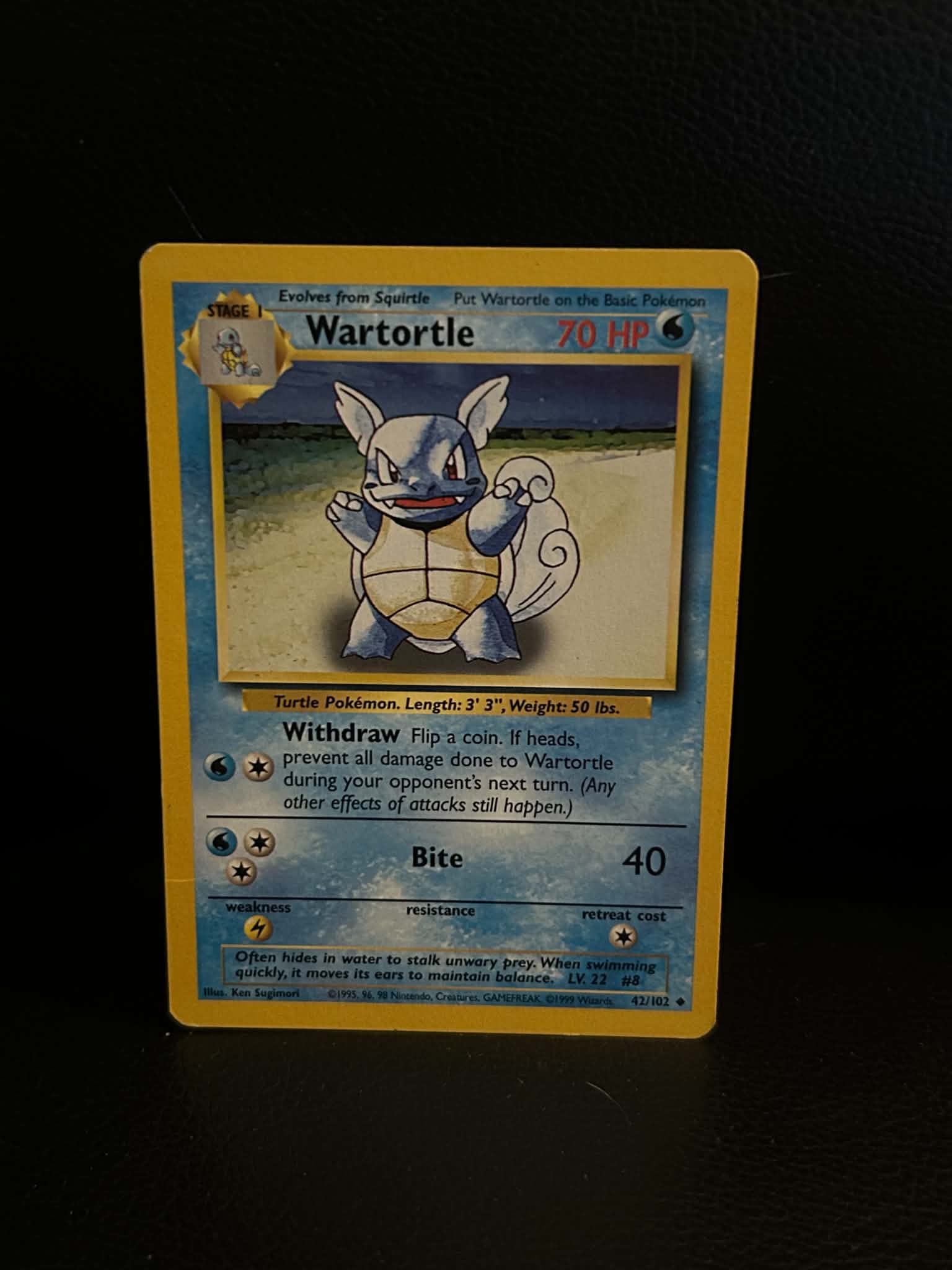Wartortle