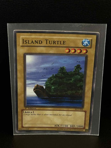 Island Turtle