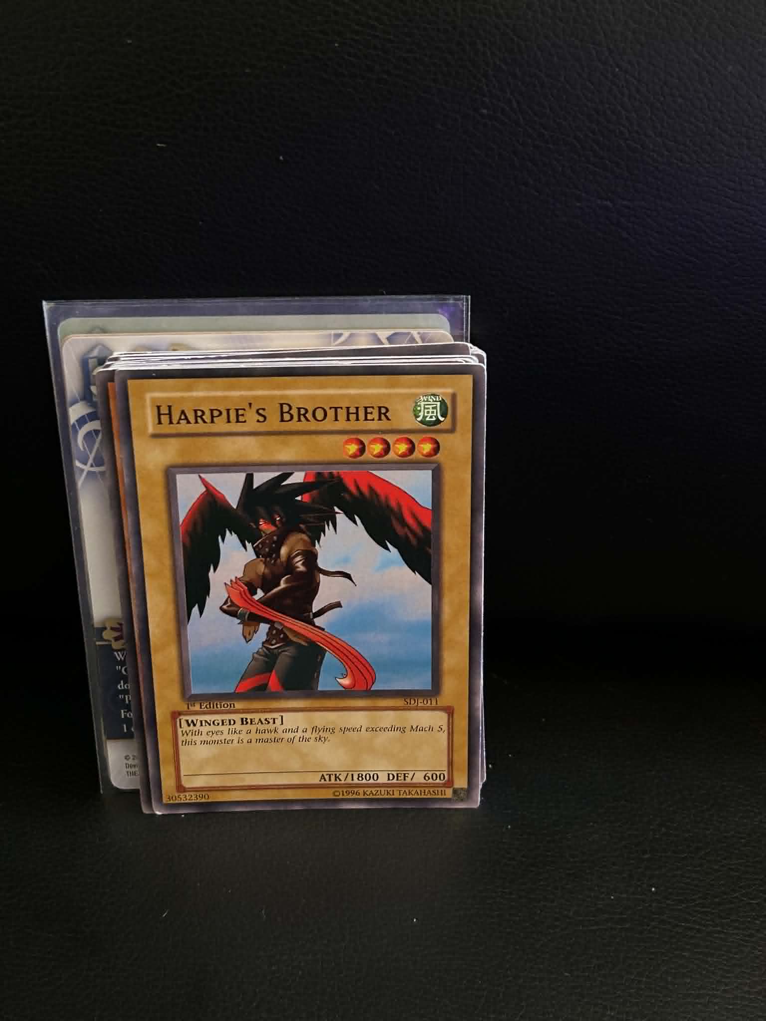 Harpie's Brother