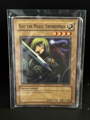 Neo the Magic Swordsman