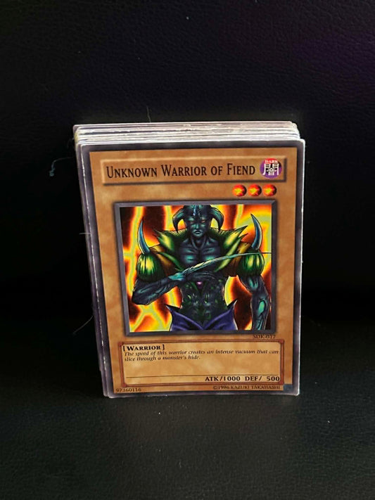 Unknown Warrior of Fiend