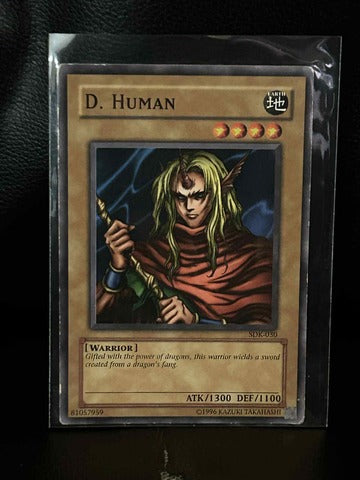 D. Human