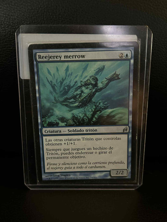 Merrow Reejerey  Lorwyn Spanish Magic: the Gathering