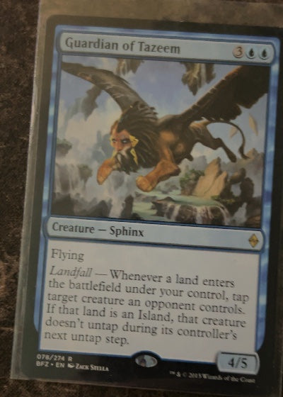 Guardian of Tazeem
