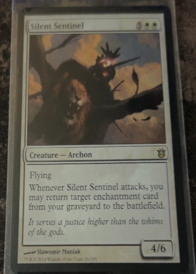 Silent Sentinel