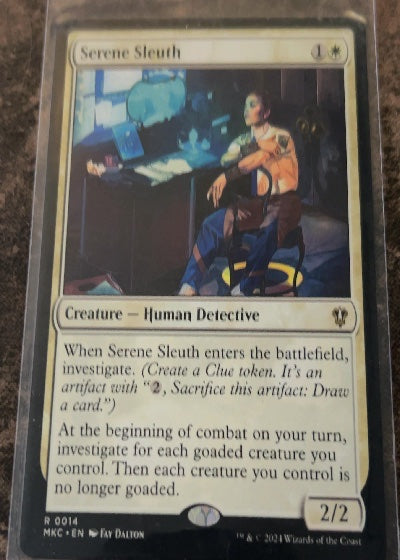 Serene Sleuth