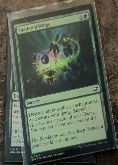 Shattered Wings