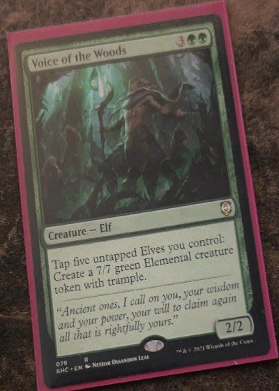 Voice of the Woods