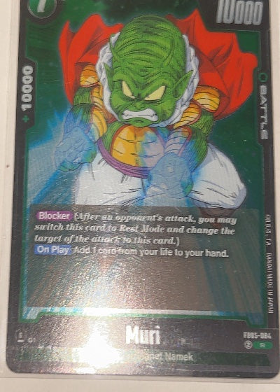 Muri