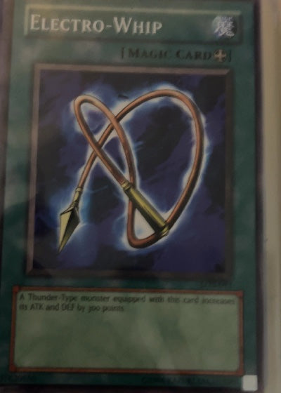 Electro-Whip