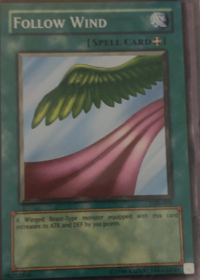 Follow Wind