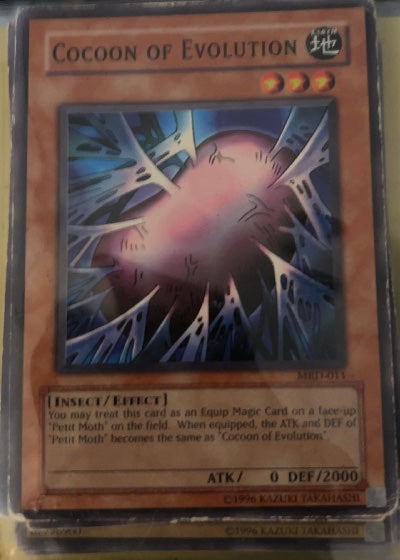 Cocoon of Evolution