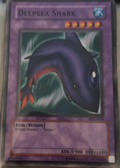 Deepsea Shark