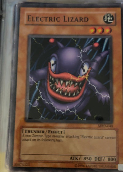 Electric Lizard