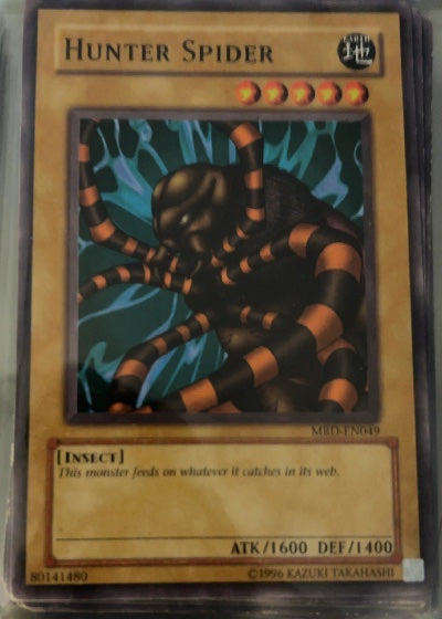 Hunter Spider