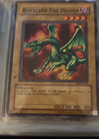 Blackland Fire Dragon