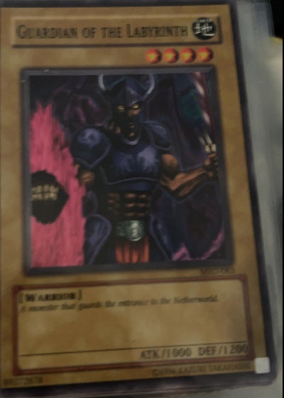 Guardian of the Labyrinth
